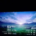 wolfofconfusion04827