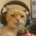 mr_misster