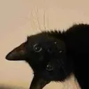 synceduserr