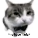 holaquehace234567898 avatar