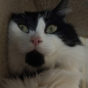 avatar Tony my beloved