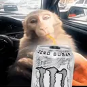 zbevv