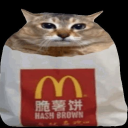 avatar Hashbrown Cat