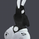 avatar ✦ ₊ ° 𝙎𝙣𝙤𝘽𝙪𝙣 ✦ ₊ °