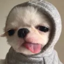 ckzzzz