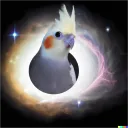 birds_adorb
