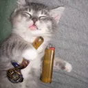 yungpimpin