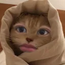 h5uee