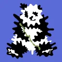 aru_web3