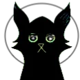 thorcatstevens
