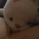 deadhabar