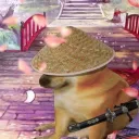 dogsamuraixd avatar
