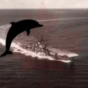 canadiandolphinsurf123