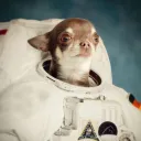 useless_chi