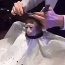 apefuls