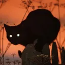 mitsumeru