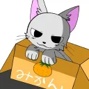 mikakichi.