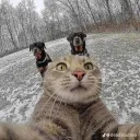 Аватар miltenessqueezzy