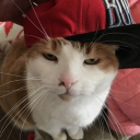 avatar ! Slug Round !