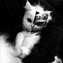 avatar 𝕸𝖆𝖙𝖎𝖘👽