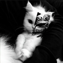 avatar 𝕸𝖆𝖙𝖎𝖘👽