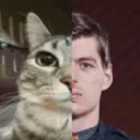 pyraccxd