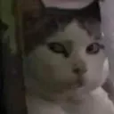 rhazzykay