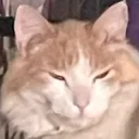 solaristheworstcatever