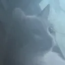 solaristheworstcatever