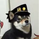 jotaroshrestha