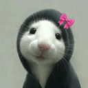 avatar 𝙼𝚊𝚢𝚊ˢᵃᵐᵃ