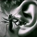 cuenta_en_decadencia3 avatar