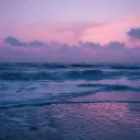 markyboy6548