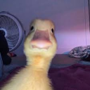 @p