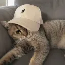 tetrogrindz