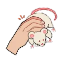 animmouse