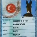katir_karakacan