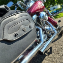 bloodywolf011's Avatar