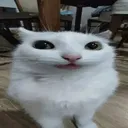 snakeyspritydu_du