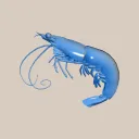 cryptoswag avatar
