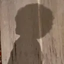 the_official_v3n0m