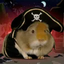 jarizw
