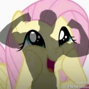 avatar ∘♡༉∘ 𝑀𝓈𝒵𝒶𝓏𝒶𝓈  ∘༉♡∘