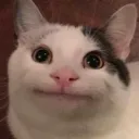 mr.nutmilk