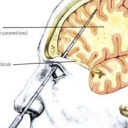 avatar 7272726282528262