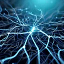 deepneuralnetwork