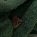 aaxsll