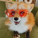 avatar Mr. Fox