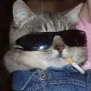 tem_py avatar