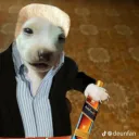floppatedicehola avatar